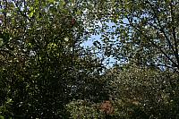 IMG 0204 800x533