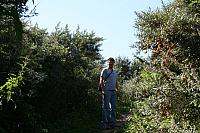 IMG 0206 800x533