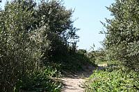 IMG 0211 800x533