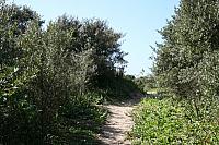IMG 0212 800x533