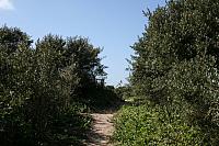 IMG 0213 800x533