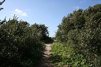 IMG 0214 800x533