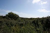 IMG 0215 800x533