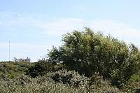 IMG 0217 800x533