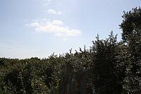 IMG 0218 800x533