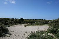 IMG 0221 800x533