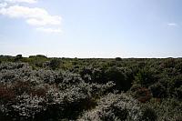 IMG 0228 800x533