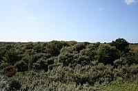 IMG 0229 800x533
