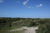IMG 0231 800x533