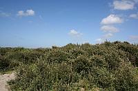 IMG 0232 800x533