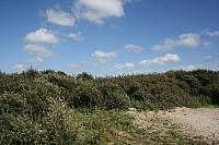 IMG 0233 800x533