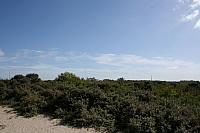 IMG 0234 800x533
