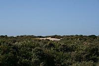 IMG 0239 800x533