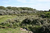 IMG 0253 800x533