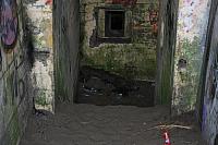 IMG 0263 800x533