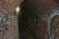 IMG 0265 800x533