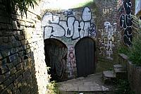 IMG 0275 800x533