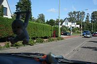 IMG 0291 800x533