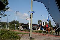 IMG 0292 800x533