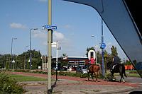 IMG 0293 800x533