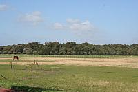 IMG 0301 800x533