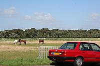 IMG 0302 800x533
