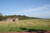 IMG 0308 800x533