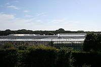 IMG 0313 800x533
