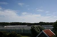 IMG 0316 800x533
