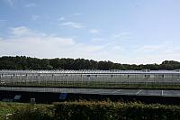 IMG 0317 800x533