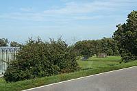IMG 0318 800x533