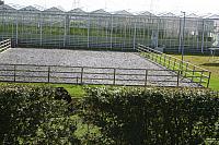 IMG 0322 800x533
