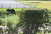 IMG 0323 800x533