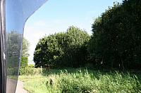 IMG 0347 800x533