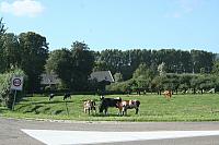 IMG 0381 800x533