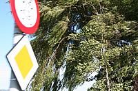 IMG 0382 800x533