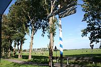 IMG 0387 800x533