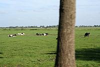 IMG 0390 800x533