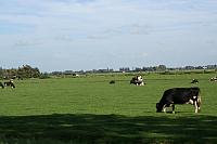 IMG 0391 800x533