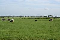 IMG 0393 800x533