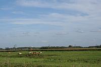IMG 0398 800x533