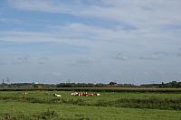 IMG 0399 800x533