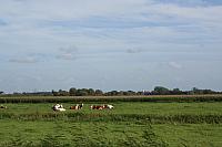 IMG 0400 800x533