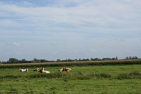 IMG 0401 800x533