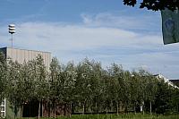 IMG 0413 800x533