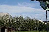 IMG 0414 800x533