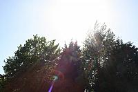 IMG 0418 800x533