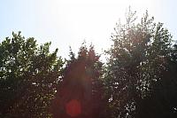 IMG 0419 800x533