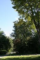 IMG 0422 800x533