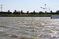 IMG 0105 800x533